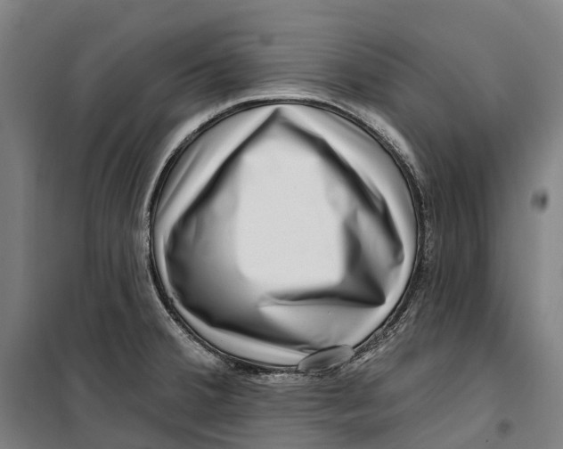 X0000099561380200806061530