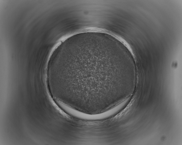 X0000099561381200806061530