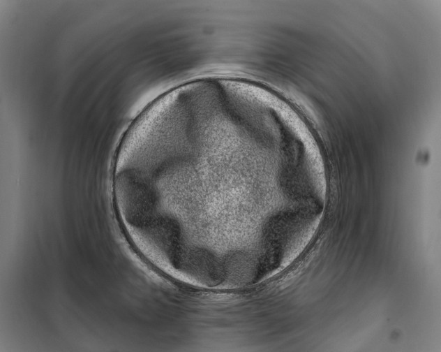 X0000099561382200806061530