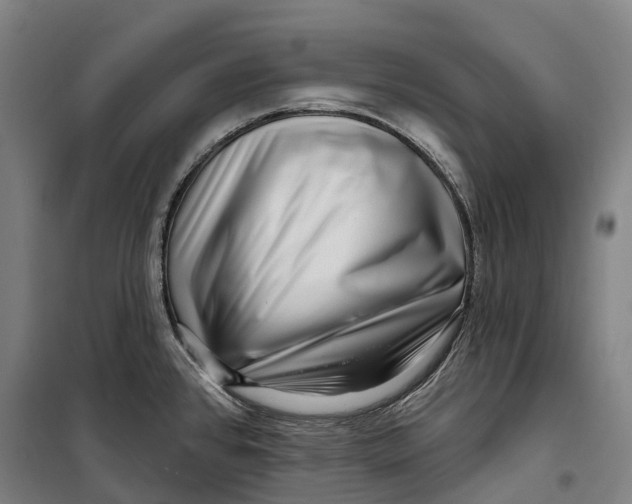 X0000099561384200806061530