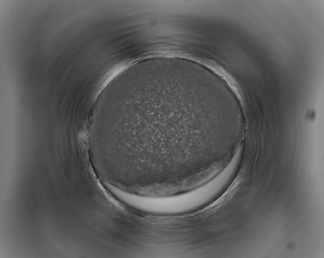 X0000099561385200806061530