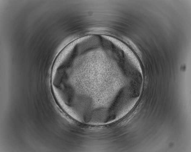 X0000099561386200806061530