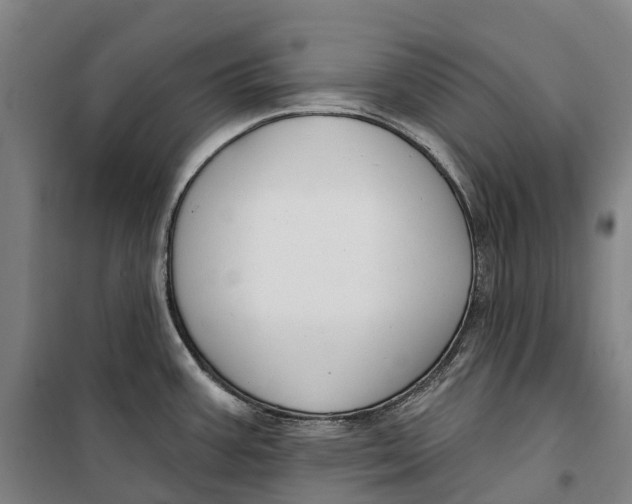 X0000099561387200806061530