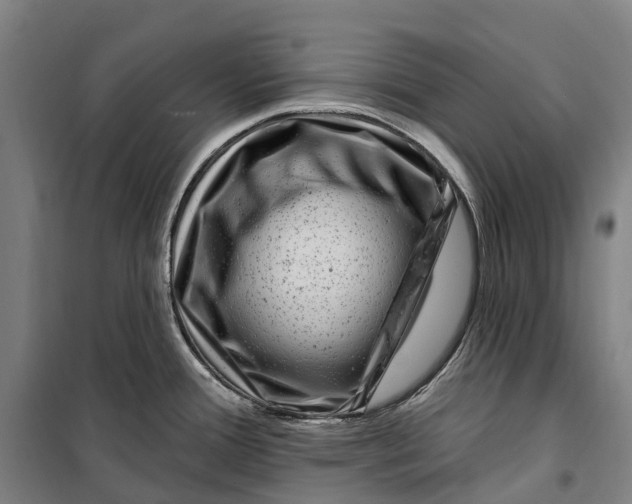 X0000099561388200806061530