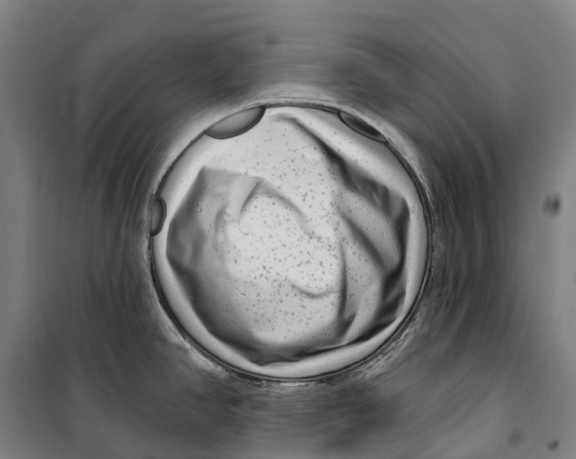 X0000099561390200806061530