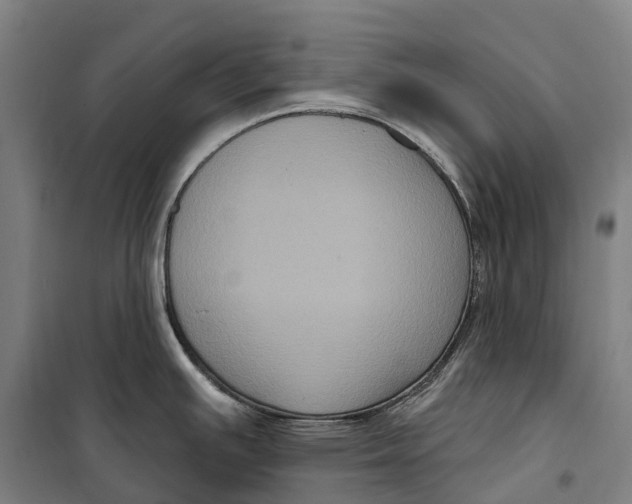 X0000099561391200806061530