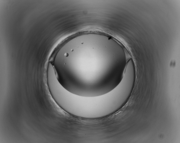 X0000099561392200806061530