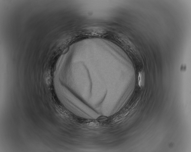 X0000099561395200806061529