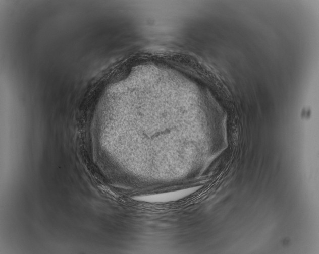 X0000099561397200806061529