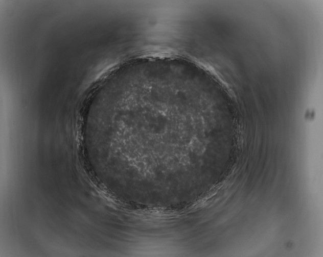 X0000099561399200806061529