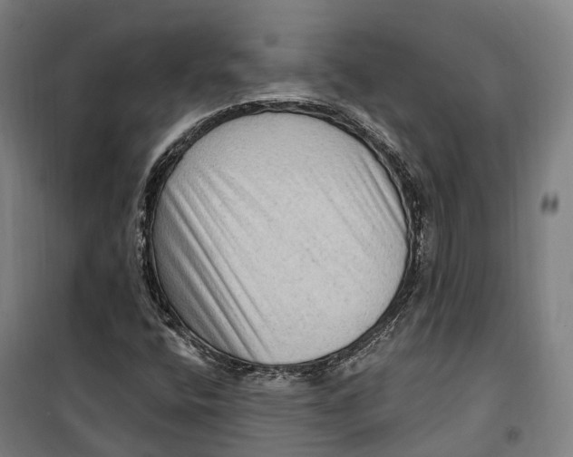 X0000099561400200806061529