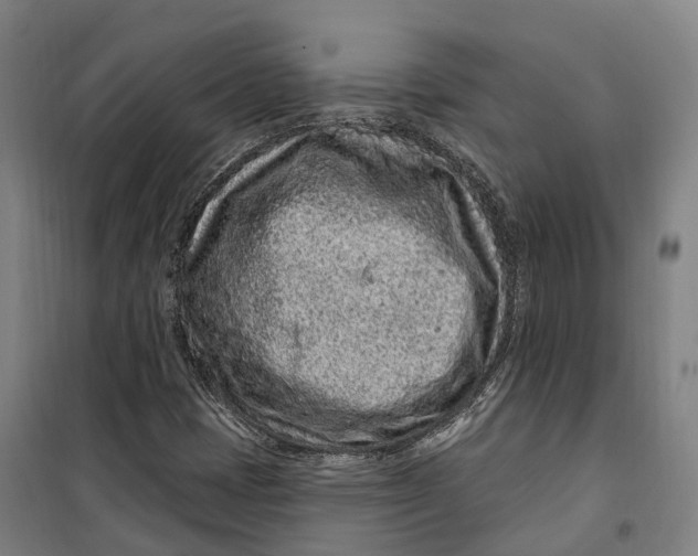 X0000099561401200806061529