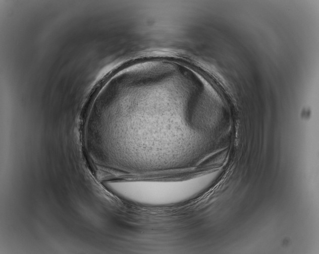 X0000099561404200806061529