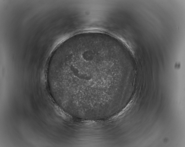 X0000099561405200806061529