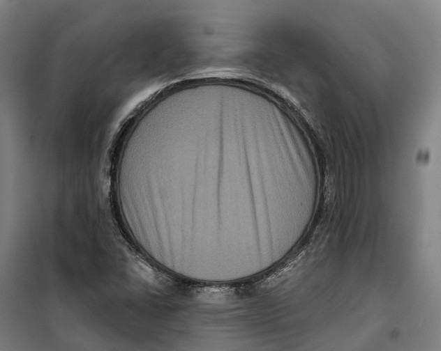 X0000099561406200806061529