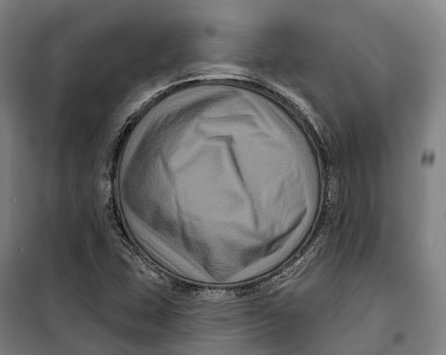 X0000099561407200806061529