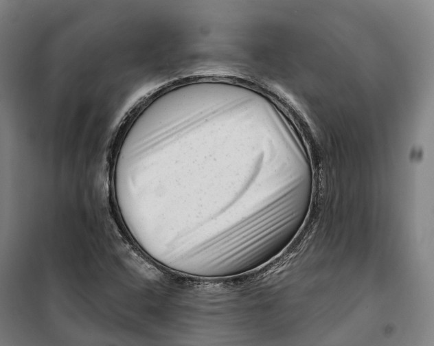 X0000099561408200806061529