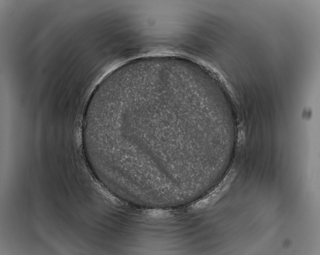 X0000099561409200806061529