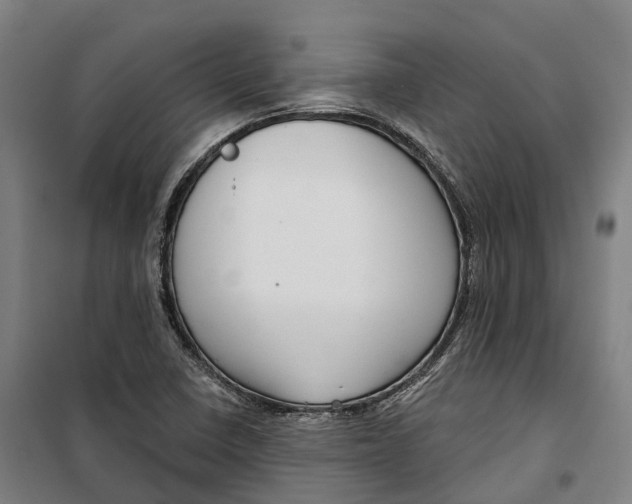 X0000099561410200806061529