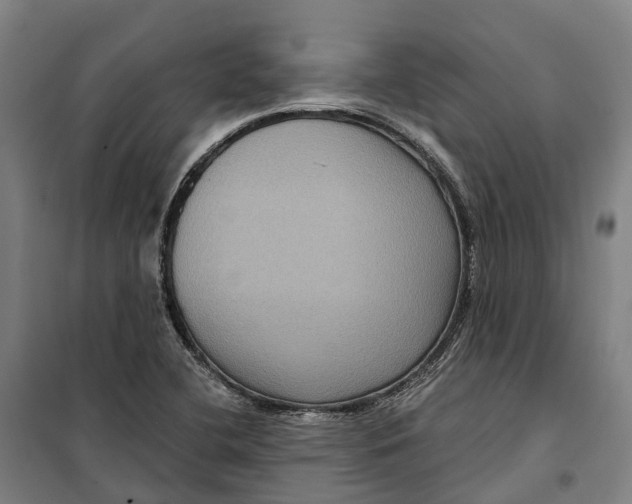 X0000099561412200806061529