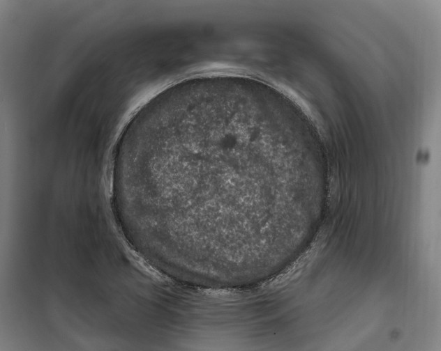 X0000099561413200806061529