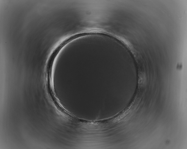 X0000099561414200806061529