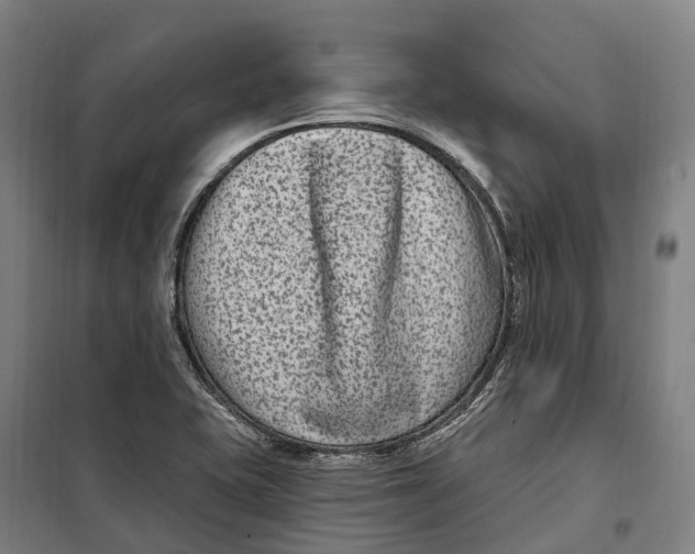 X0000099561415200806061529