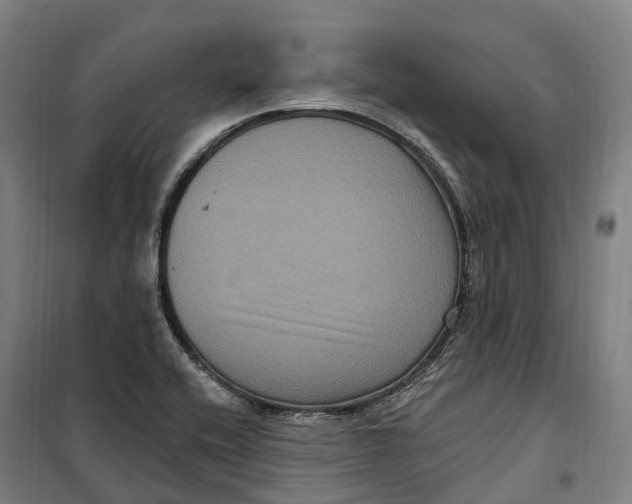 X0000099561416200806061529