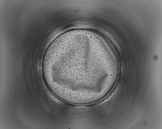 X0000099561417200806061529