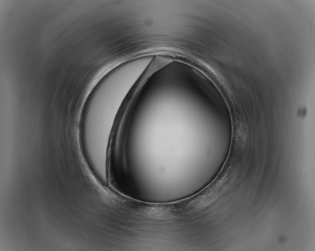 X0000099561418200806061529