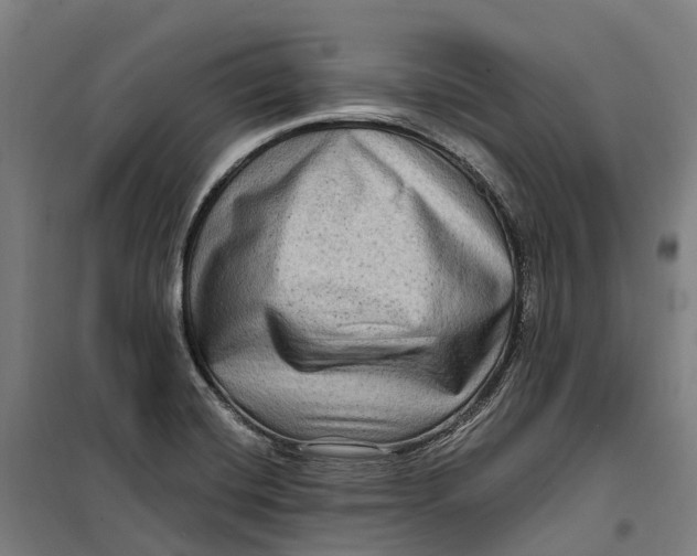 X0000099561420200806061529