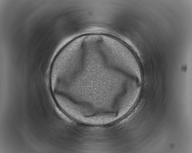 X0000099561421200806061529