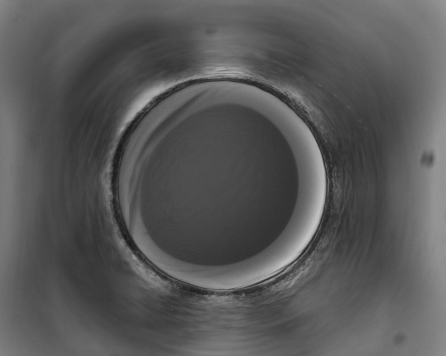 X0000099561422200806061529