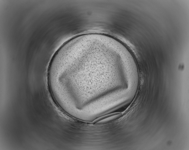 X0000099561423200806061529