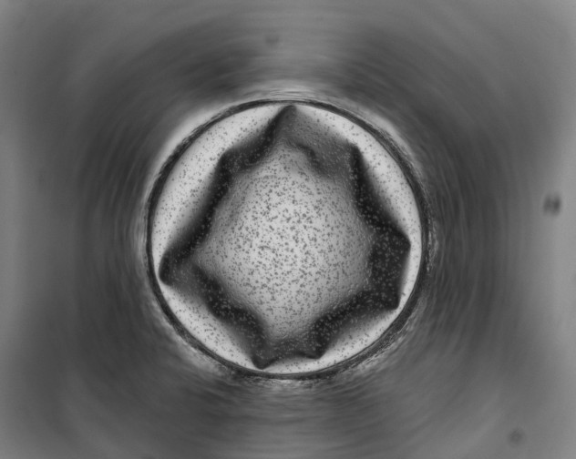 X0000099561424200806061529