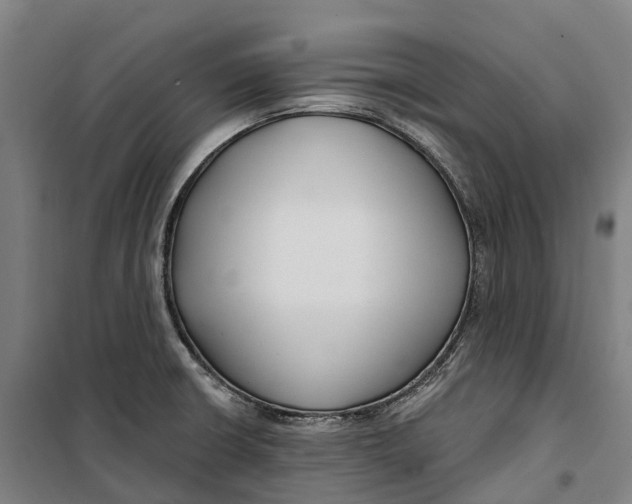 X0000099561426200806061529