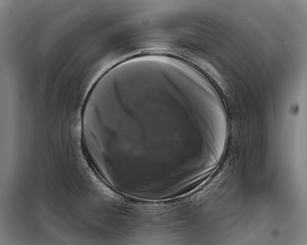 X0000099561428200806061529