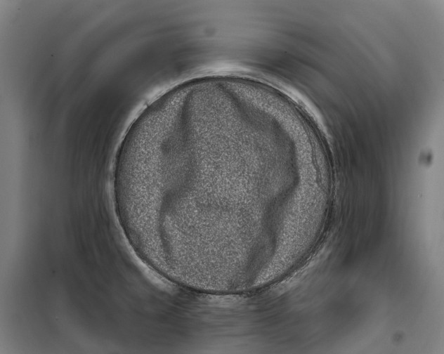 X0000099561429200806061529