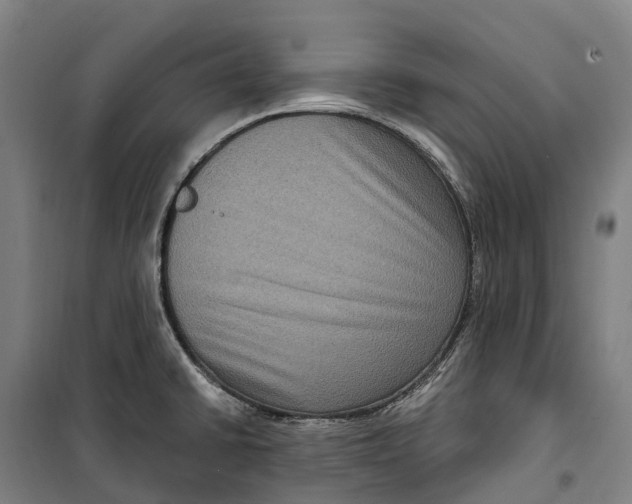 X0000099561430200806061530