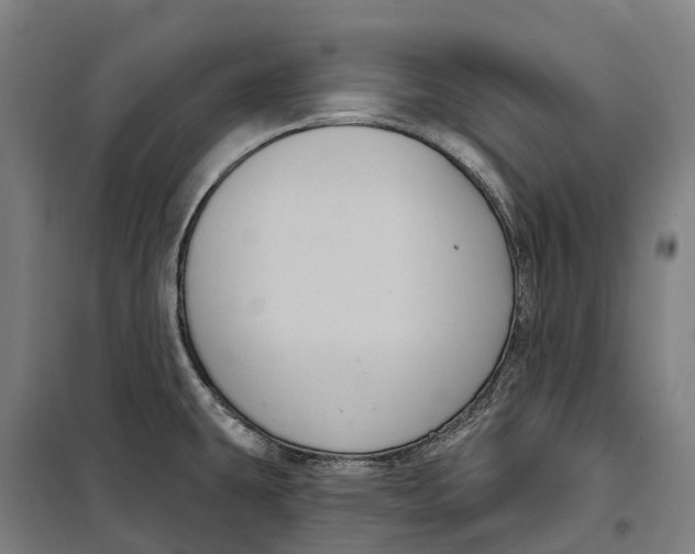 X0000099561431200806061530