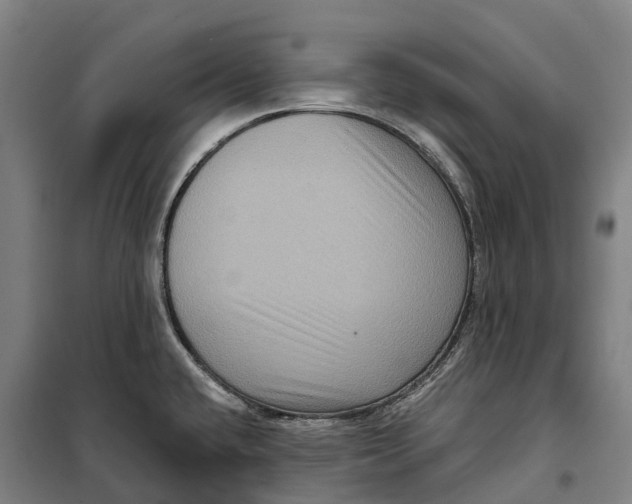 X0000099561432200806061530