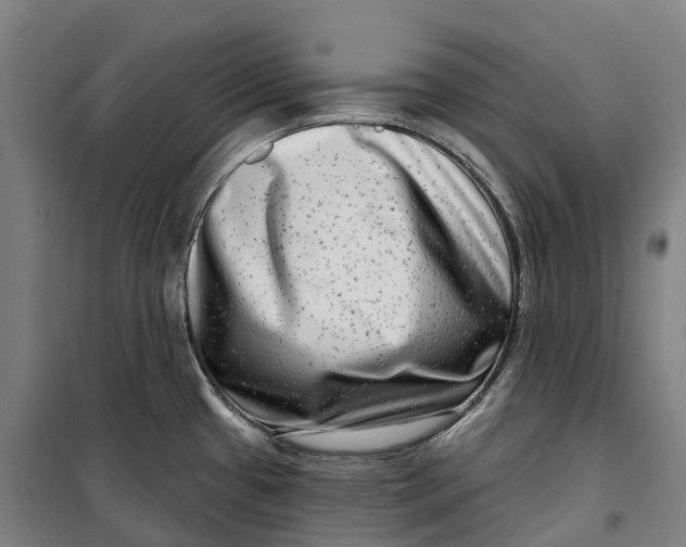 X0000099561433200806061530