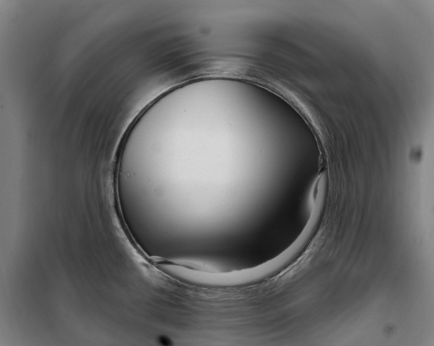 X0000099561434200806061530