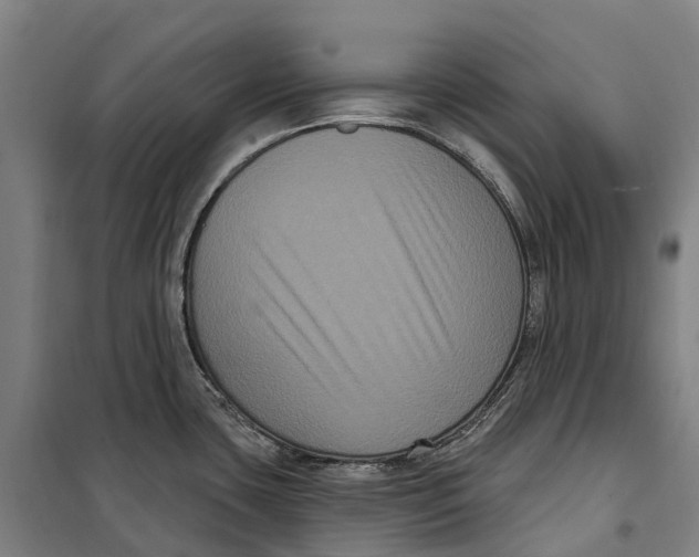 X0000099561435200806061530