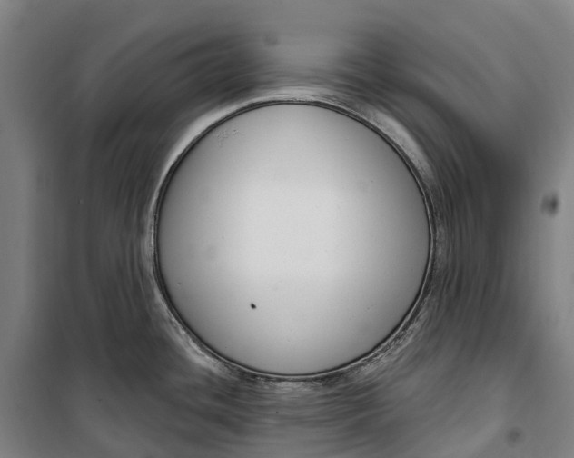 X0000099561436200806061530