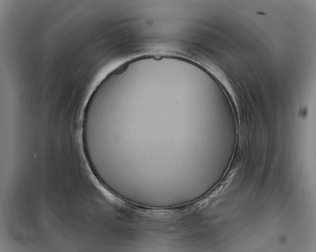 X0000099561437200806061530