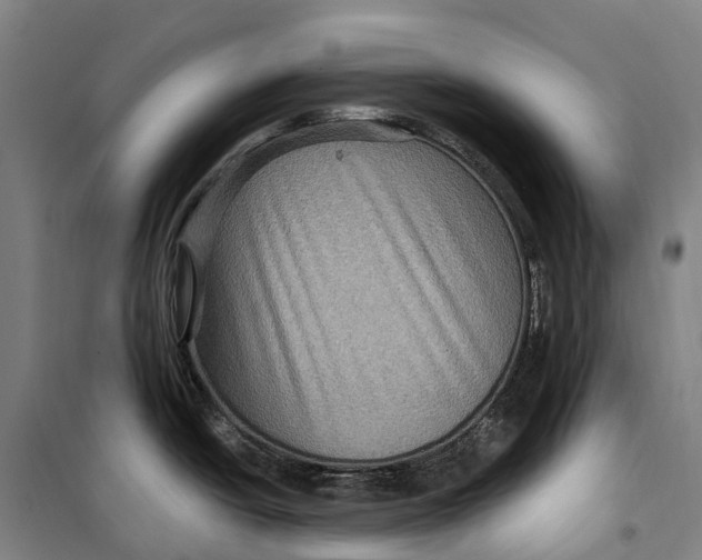 X0000099561438200806061530