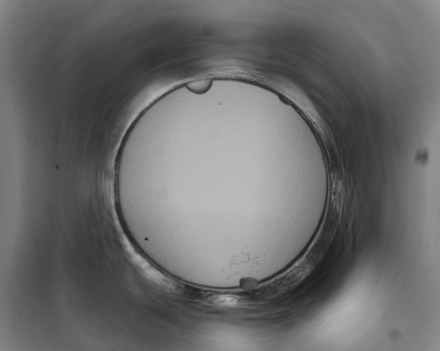 X0000099561439200806061530