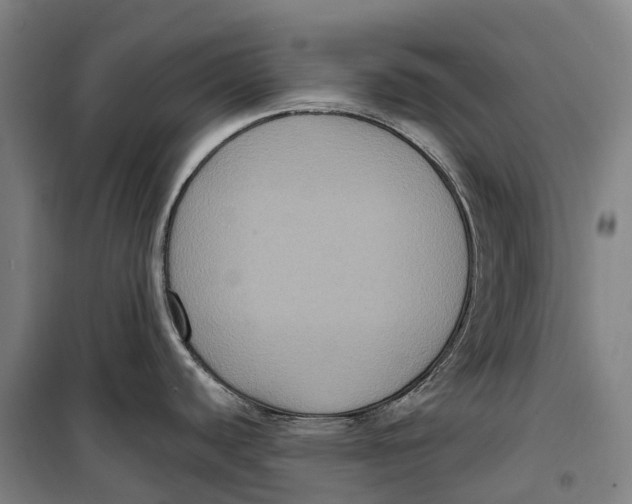 X0000099561440200806061530