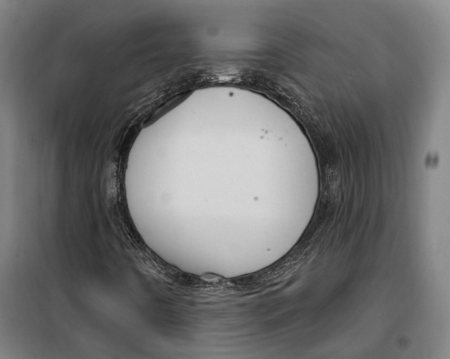 X0000099561442200806061529